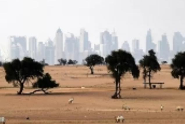 تؤطوا زعيم دولة عربية ومباركة التطبيع الاماراتي مع اسرائيل يعتبر خيانة لقضية القدس 