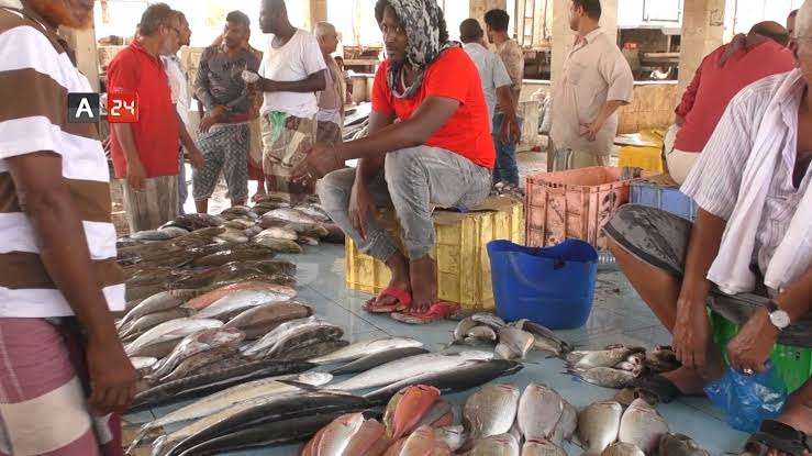قرار حكومي بتوقيف الصادرات السمكية الطازجة للخارج وإيقاف مسؤولين عن العمل