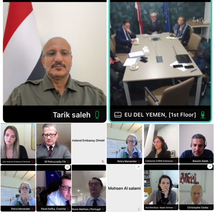 لقاء بين العميد طارق صالح والسفراء الأوروبيين بشأن الحوثيين وأزمة البحر الأحمر